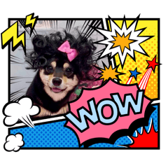 Ohagi_20250427204110