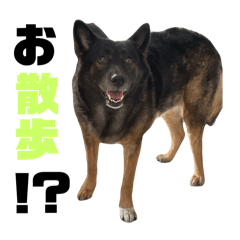momaru_20250427203440