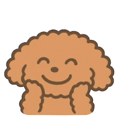 Toy Poodle Nana-chan