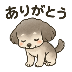 Fluffy Poodle Everyday Stickers