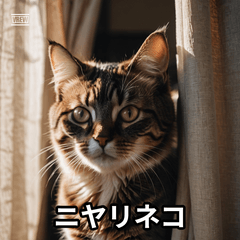Nyanmotion