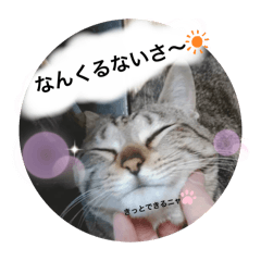 Ace_20250427200344