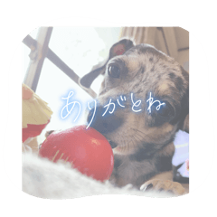 hina_20250427201756