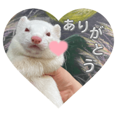 Hikari_20250427220236