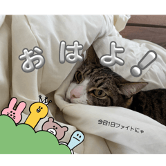 Aki_20250427220742
