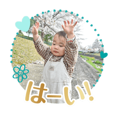 taro_20250427221814