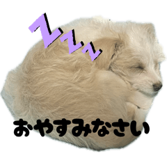 nao_20250427221656