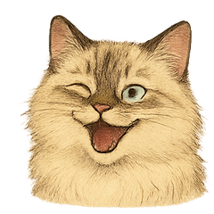 We love DingDing