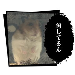 sa_20250426213844