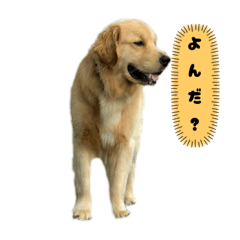 Nk_20250426220123