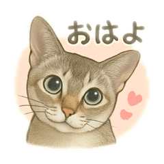 Hana_20250426220209