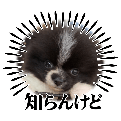 yukari_20250426223726