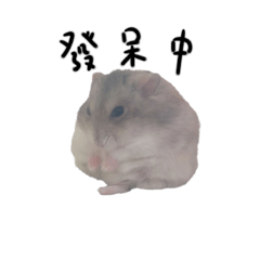 鼠鼠們的廢萌日常1