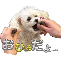 KJ_20250427010856