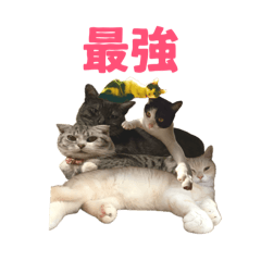 Nana_20250427014003