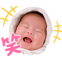 piyo_20250427223751