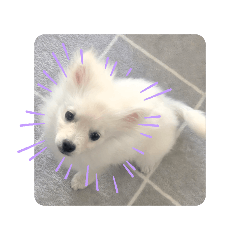ruru_20250426222752