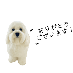 haru_20250427132800