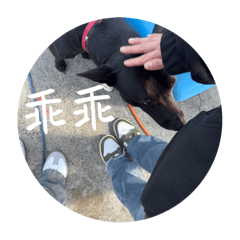 美好時光CZ