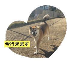 ma_20250427230632