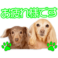 My beloved Gura&Momo