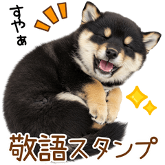 敬語で伝える♡かわいい黒柴