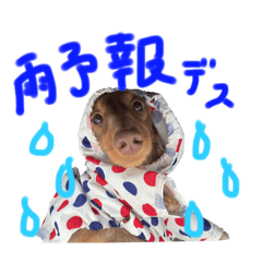 yuka_20250427232724