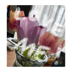 ruka_20250427233813