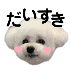 yuki_20250428103059