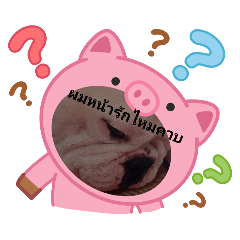 puyfai_20250427165741