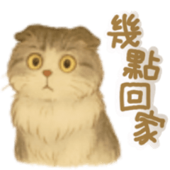 Cocobaby cat Ramona