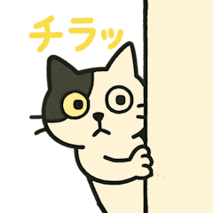 黑白貓日常貼圖