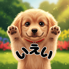 治愈系小狗们