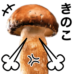 Mushroom (JAPAN MOVE)