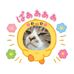 mei_20250427180110
