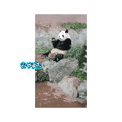 aiueo_20250427194848