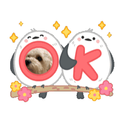 SAKI_20250427203314