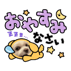 COCO_20250427213948