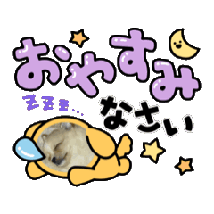 ran_20250428085716