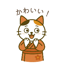 Daily Cat JP