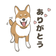 Misaki_20250427132247
