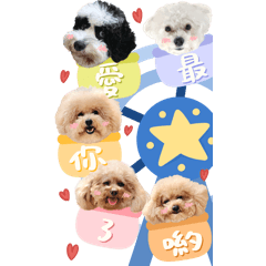 Cola.Niuniu.Goodie.Den.TJ