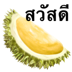 Ripe Durian 6