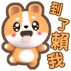 ★枇杷-好用問候★