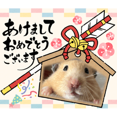 yukie_20250427164959