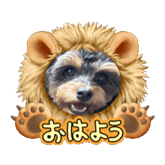 Honoka_20250427155203