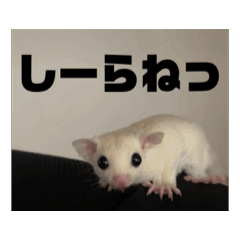 AIKO.ver1_20250427230032