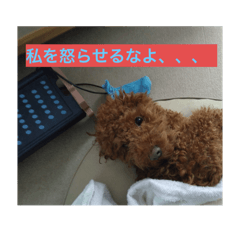 siro_20250427204500