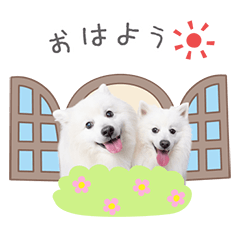 StampNo:5272