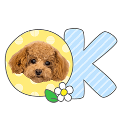 StampNo:5276
